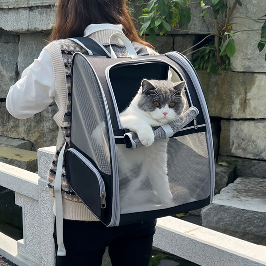 Foldable Dual Shoulder Pet Carrier Bag