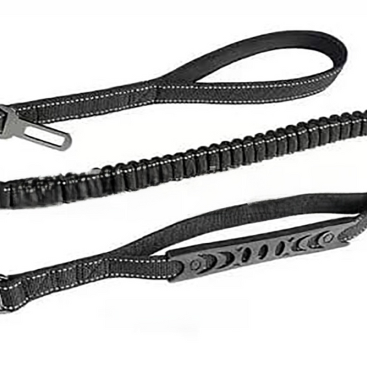 Pet supplies leash